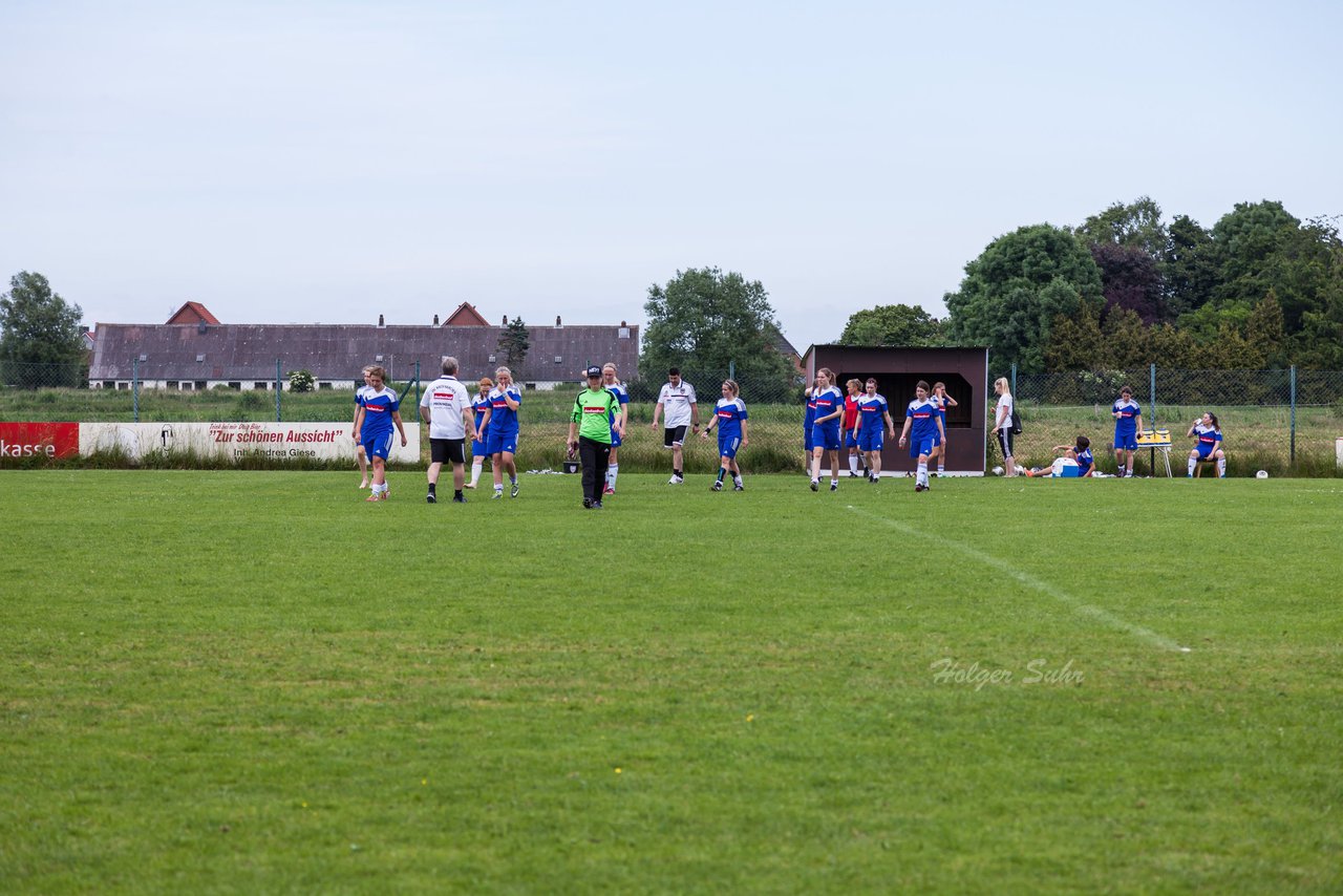 Bild 437 - Frauen SG Wilstermarsch - FSC Kaltenkirchen Aufstiegsspiel : Ergebnis: 2:1